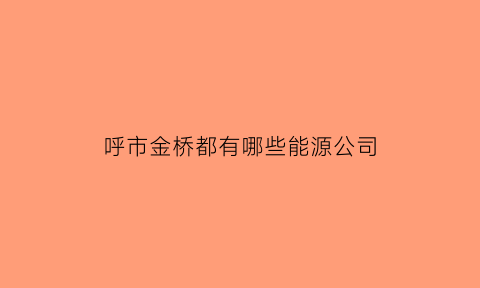 呼市金桥都有哪些能源公司