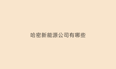 哈密新能源公司有哪些