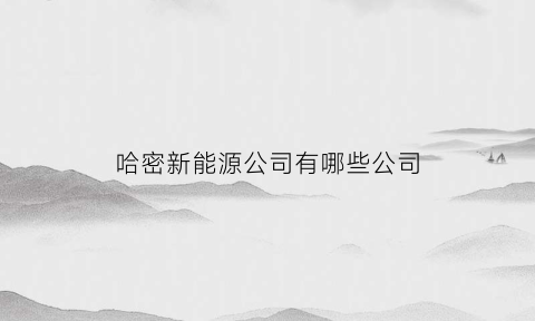 哈密新能源公司有哪些公司