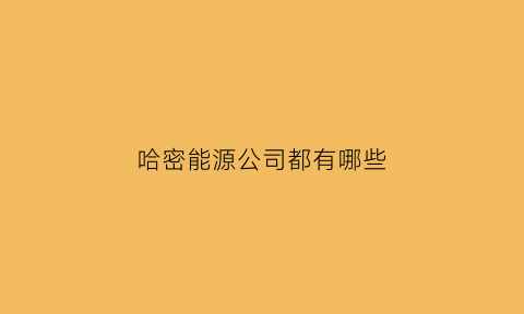 哈密能源公司都有哪些