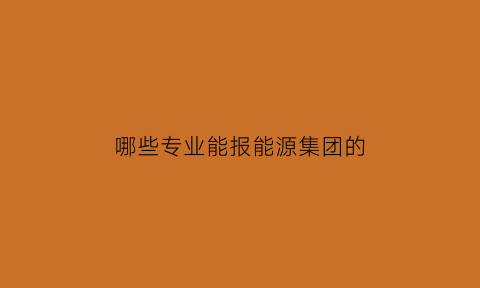 哪些专业能报能源集团的