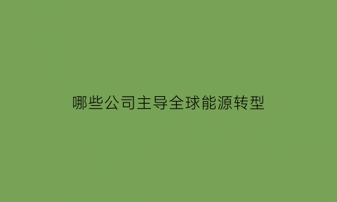 哪些公司主导全球能源转型