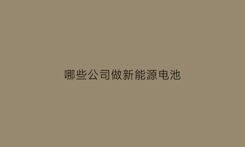 哪些公司做新能源电池