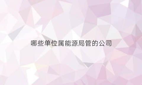 哪些单位属能源局管的公司