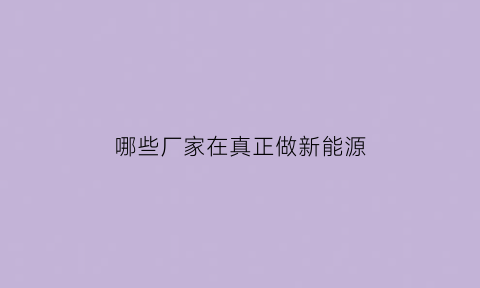 哪些厂家在真正做新能源