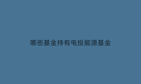 哪些基金持有电投能源基金