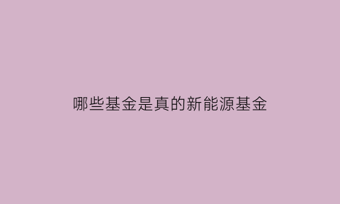 哪些基金是真的新能源基金