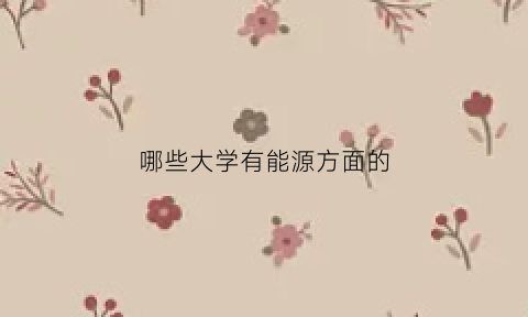 哪些大学有能源方面的