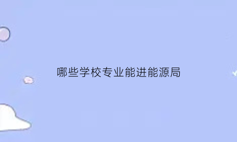 哪些学校专业能进能源局