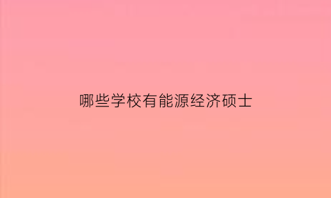 哪些学校有能源经济硕士