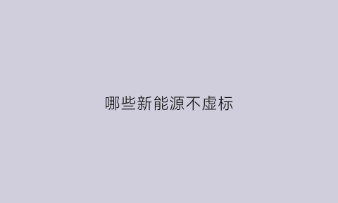 哪些新能源不虚标