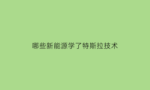 哪些新能源学了特斯拉技术