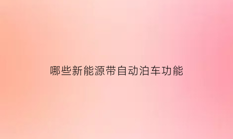 哪些新能源带自动泊车功能