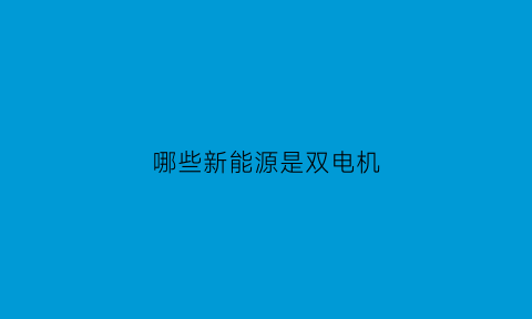 哪些新能源是双电机(新能源双电机和单电机的区别)