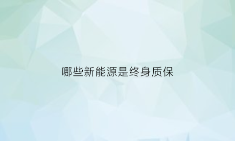 哪些新能源是终身质保