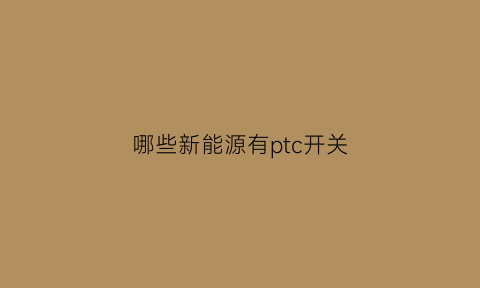 哪些新能源有ptc开关