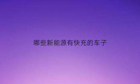 哪些新能源有快充的车子