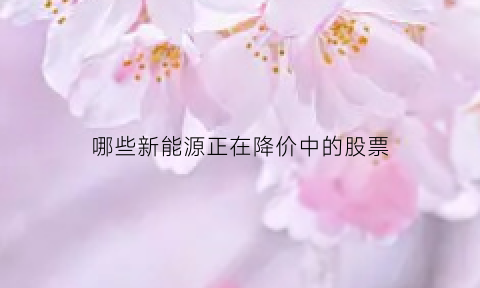 哪些新能源正在降价中的股票