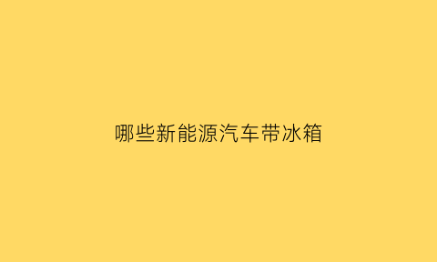 哪些新能源汽车带冰箱