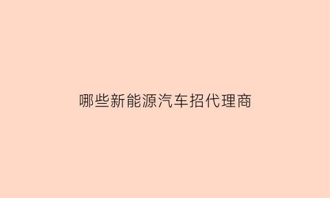 哪些新能源汽车招代理商(想做新能源汽车代理)