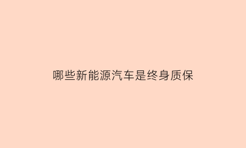 哪些新能源汽车是终身质保