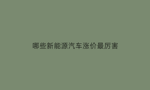 哪些新能源汽车涨价最厉害