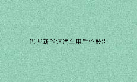 哪些新能源汽车用后轮鼓刹