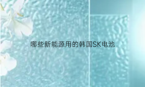 哪些新能源用的韩国SK电池