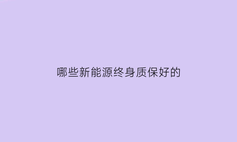 哪些新能源终身质保好的