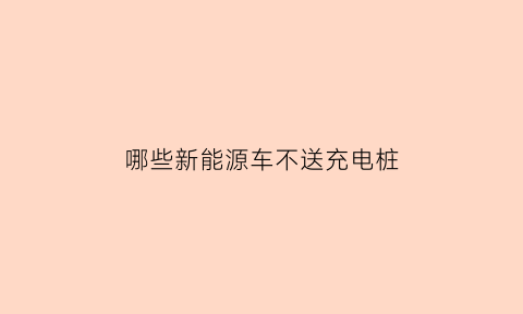 哪些新能源车不送充电桩