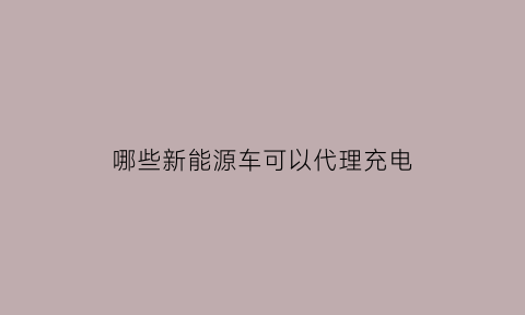 哪些新能源车可以代理充电