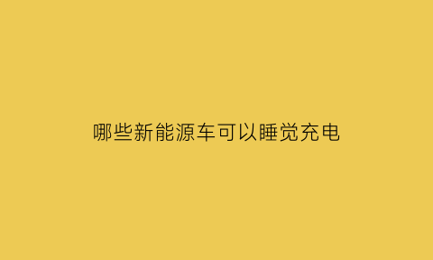 哪些新能源车可以睡觉充电