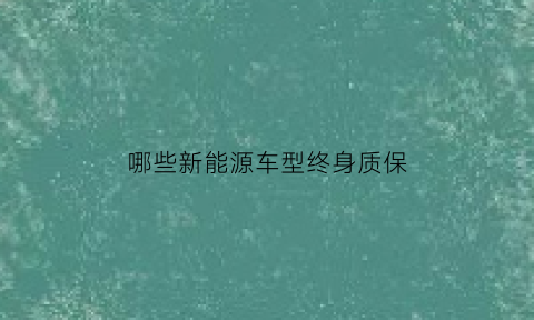 哪些新能源车型终身质保