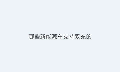 哪些新能源车支持双充的