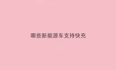 哪些新能源车支持快充(支持快充的电车)