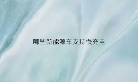 哪些新能源车支持慢充电