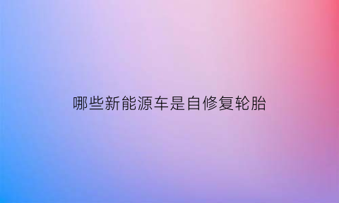 哪些新能源车是自修复轮胎