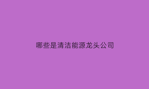 哪些是清洁能源龙头公司