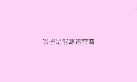 哪些是能源运营商