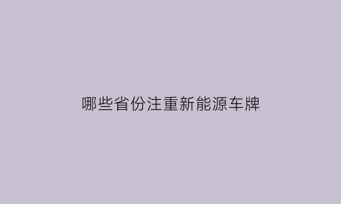 哪些省份注重新能源车牌