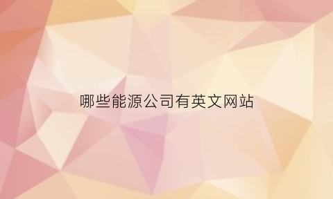 哪些能源公司有英文网站