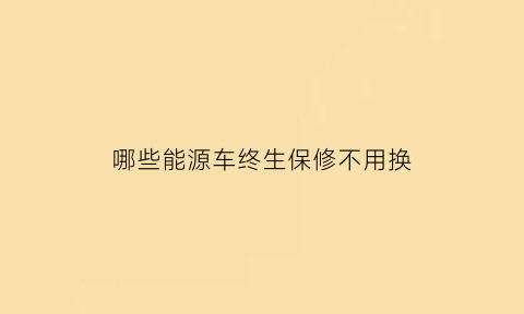 哪些能源车终生保修不用换