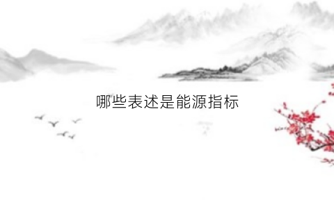 哪些表述是能源指标