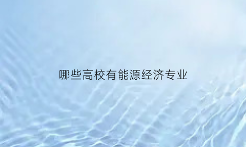 哪些高校有能源经济专业