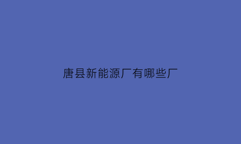 唐县新能源厂有哪些厂