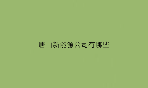 唐山新能源公司有哪些