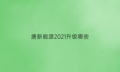 唐新能源2021升级哪些