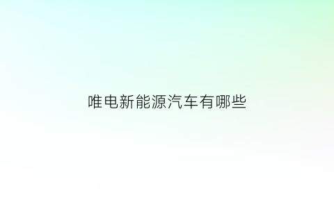 唯电新能源汽车有哪些