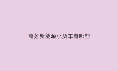 商务新能源小货车有哪些