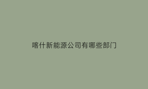 喀什新能源公司有哪些部门